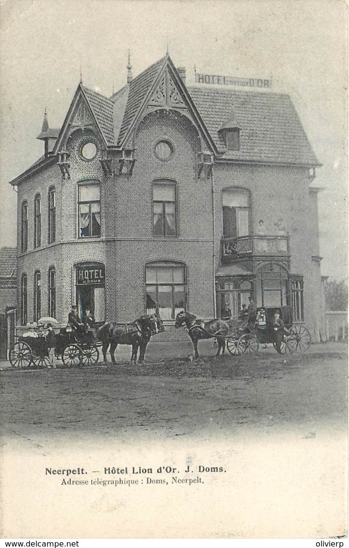 Belgique - Neerpelt - Hôtel Du Lion D' Or - J. Doms - Deux Attelages - Neerpelt