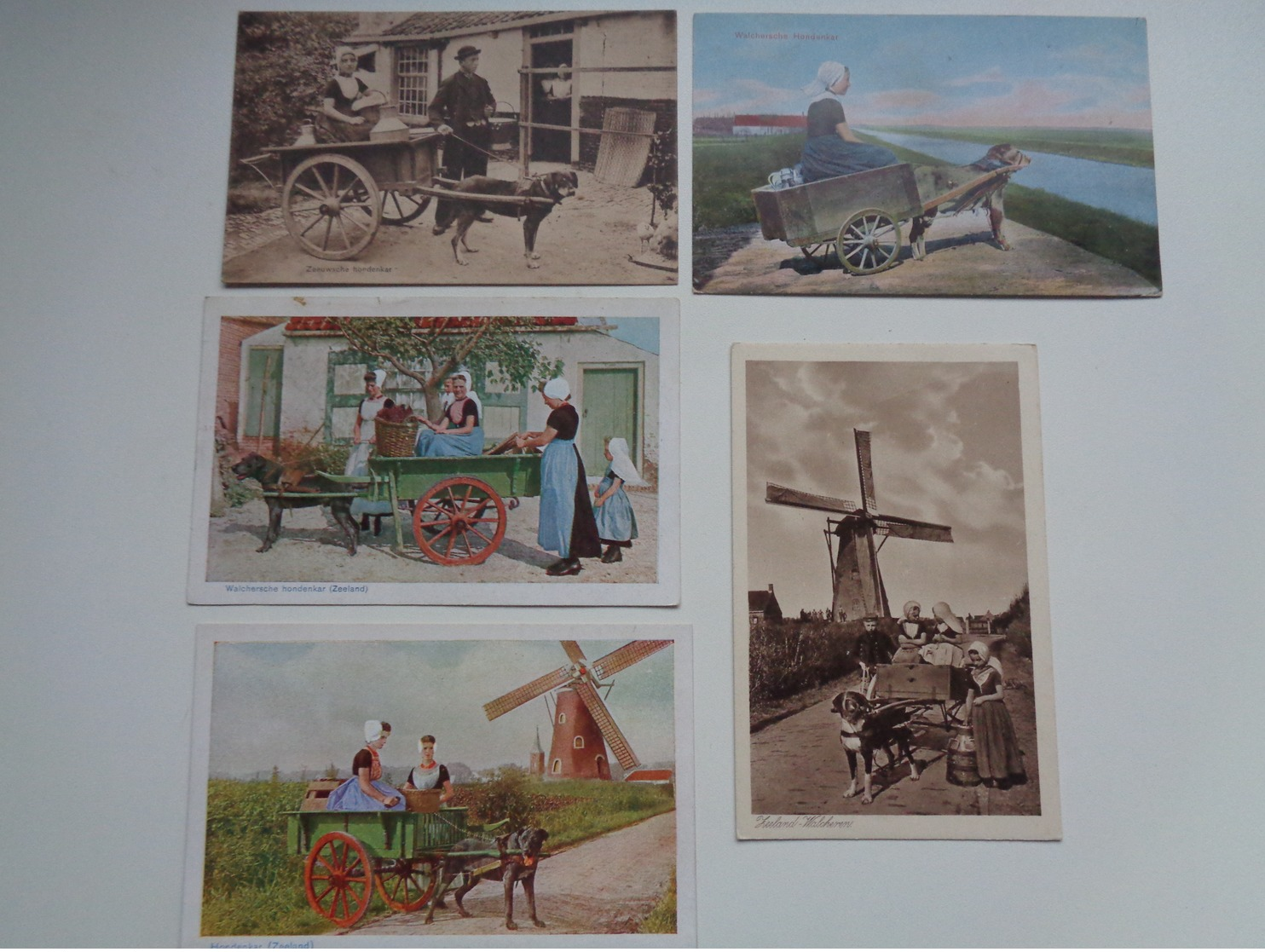 Beau Lot De 5 Cartes Postales Du Pays Bas Laitière  Attelage De Chien Mooi Lot 5 Postk. Melkvrouw Hondenspan Holland - 5 - 99 Cartes