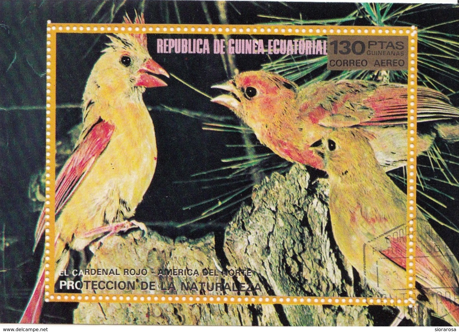 Guinea Equatoriale 1976 Bf. 250 Birds Pappagalli CARDENAL ROJO Parrots Perroquets Sheet Perf. - Guinea Equatoriale