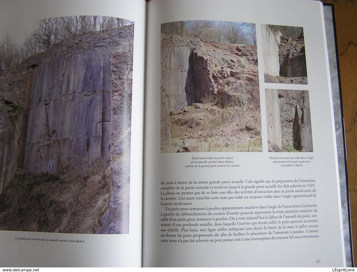 LES CARRIERES DE PIERRE DANS L' ENTITE DE ROCHEFORT Régionalisme Carrière Tailleur Technique Marbre Humain Saint Hubert