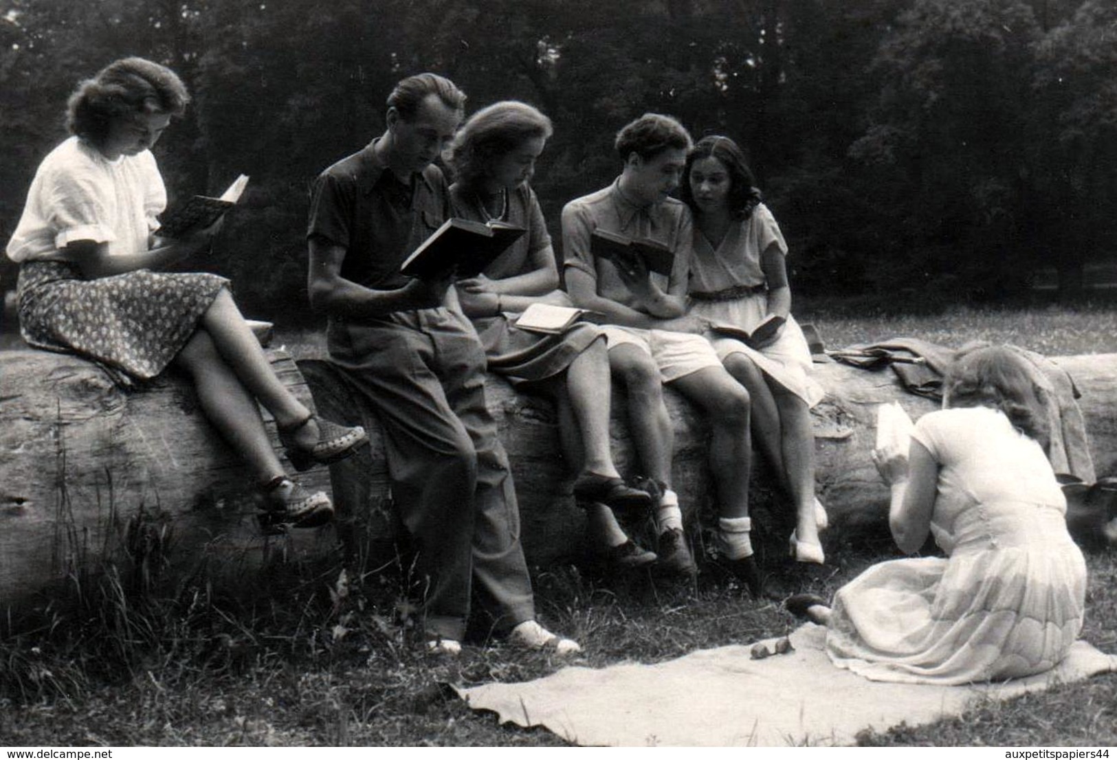 Amusante Photo Originale Autour De La Lecture & Bande De Jeunes Couples à Chacun Son Livre En Forêt Vers 1950/60 - Personnes Anonymes