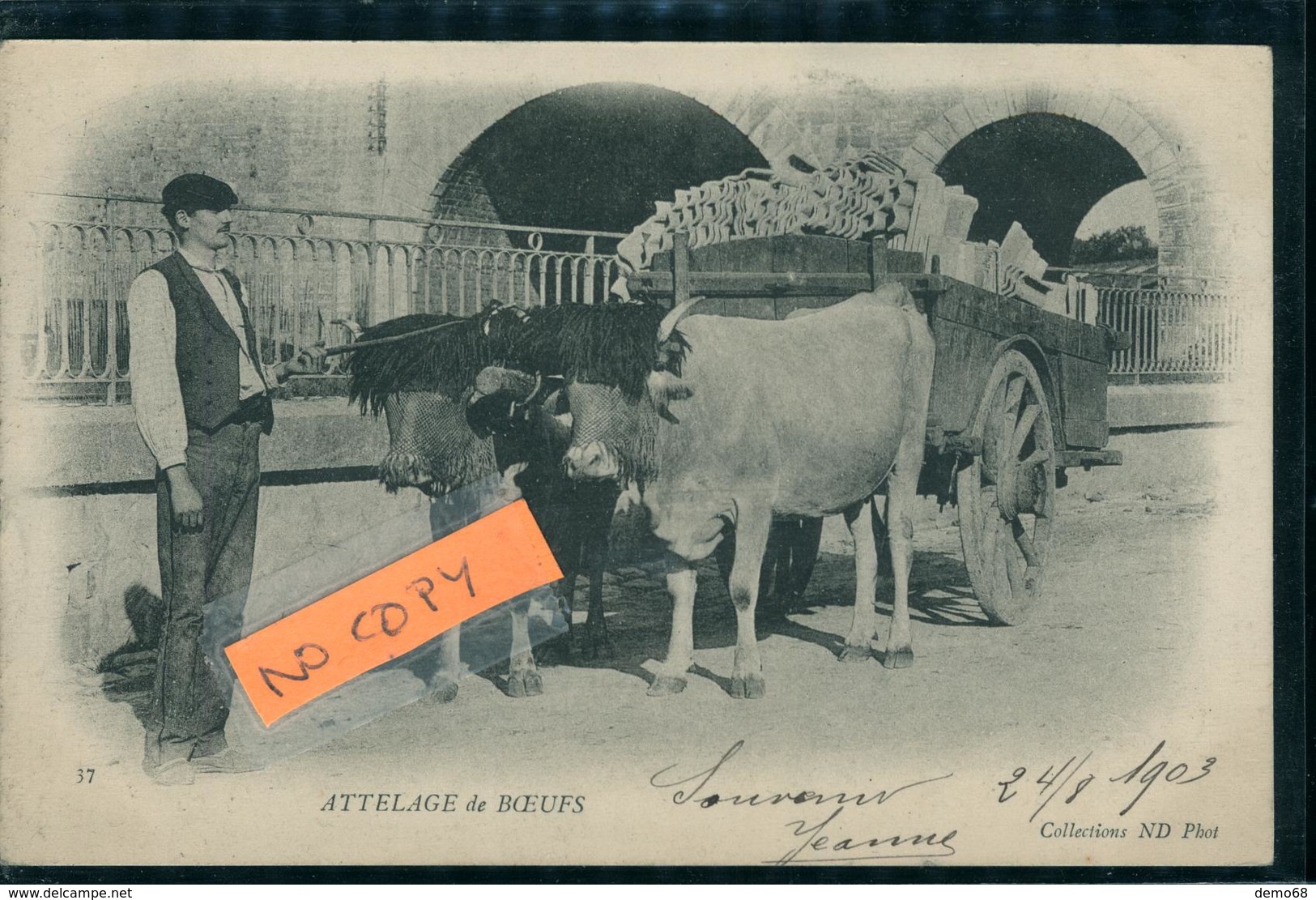 Attelage De Boeufs Fermier Agriculteur Paysan Char à Bœuf  Pyrénées Atlantiques ? Carte Pionnière 1903 Ed Neurdein - Equipaggiamenti