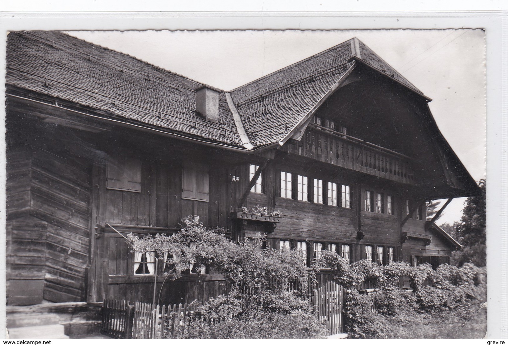 Crésuz, Pension "La Chaumine", Carte-photo - Crésuz