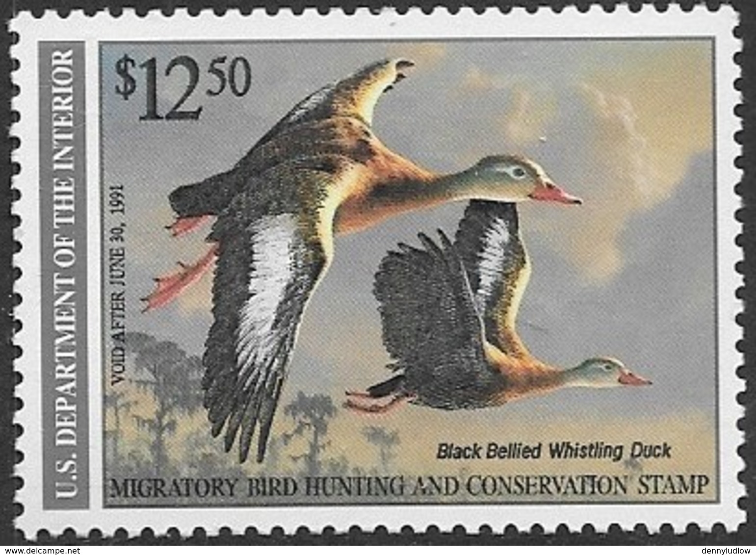 US 1990   RW57  $12.50   Whistling Duck  Hunting Permit  MNH  2016 Scott Value $20 - Ducks