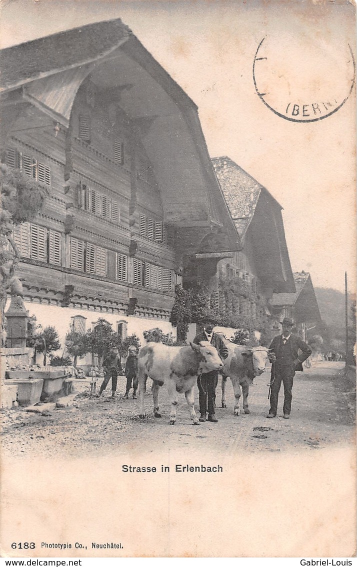 Strasse In Erlenbach - Animée -  Kuh - Erlenbach Im Simmental