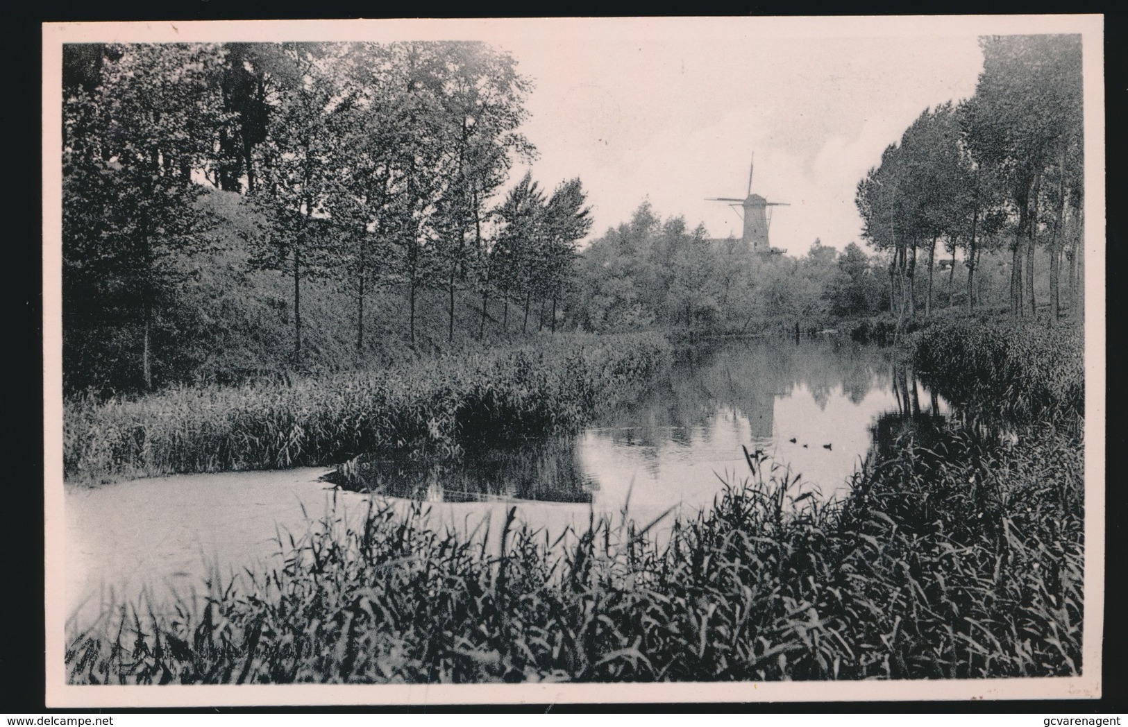 HULST    - FOTOKAART -  MOLENZICHT - Hulst