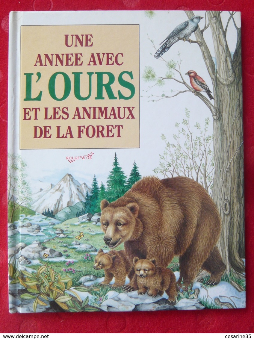 Une Année Avec L’ours Et Les Animaux De La Forêt - Bibliothèque Rouge Et Or