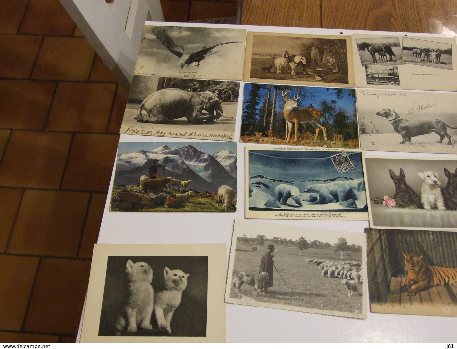 LOT D UNE COLLECTION DE 243 CARTES POSTALES ANCIENNES ET SEMI MODERNES THEMES ANIMAUX CHEVEAUX OISEAUX CHATS CHIENS - 100 - 499 Postales