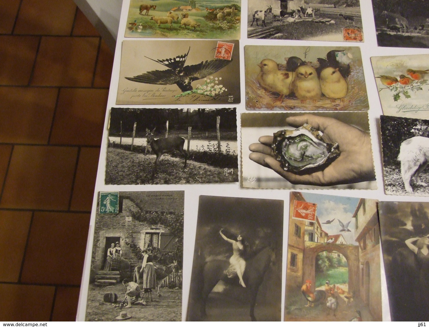 LOT D UNE COLLECTION DE 243 CARTES POSTALES ANCIENNES ET SEMI MODERNES THEMES ANIMAUX CHEVEAUX OISEAUX CHATS CHIENS - 100 - 499 Postales