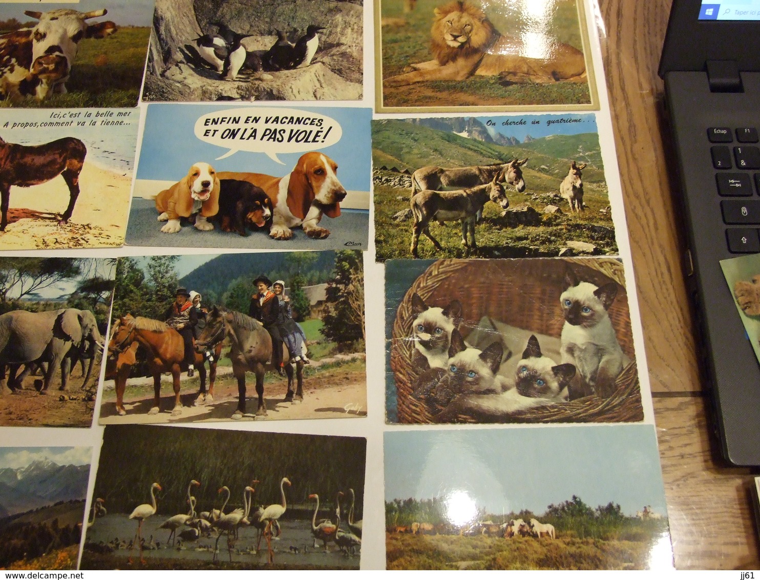 LOT D UNE COLLECTION DE 243 CARTES POSTALES ANCIENNES ET SEMI MODERNES THEMES ANIMAUX CHEVEAUX OISEAUX CHATS CHIENS