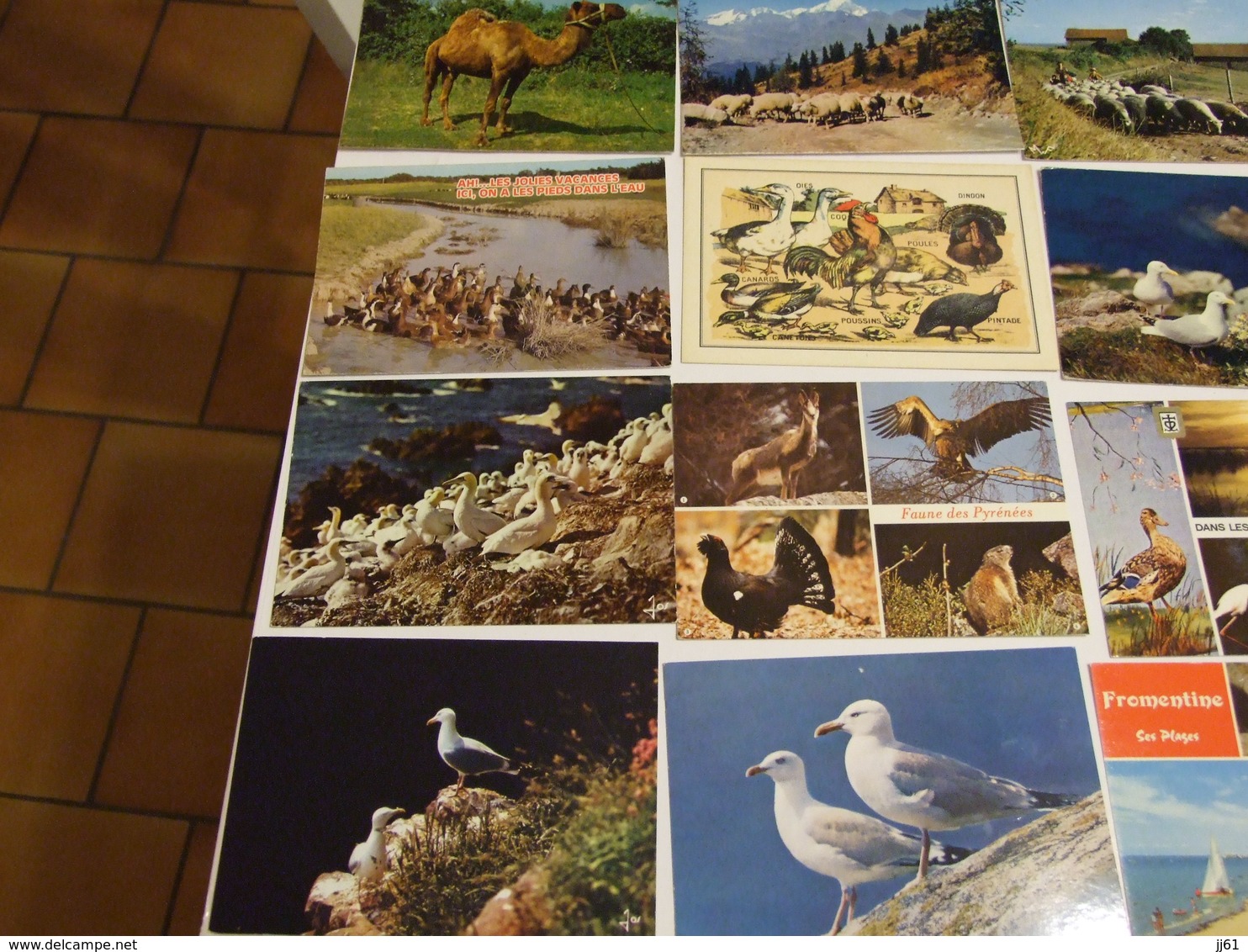 LOT D UNE COLLECTION DE 243 CARTES POSTALES ANCIENNES ET SEMI MODERNES THEMES ANIMAUX CHEVEAUX OISEAUX CHATS CHIENS