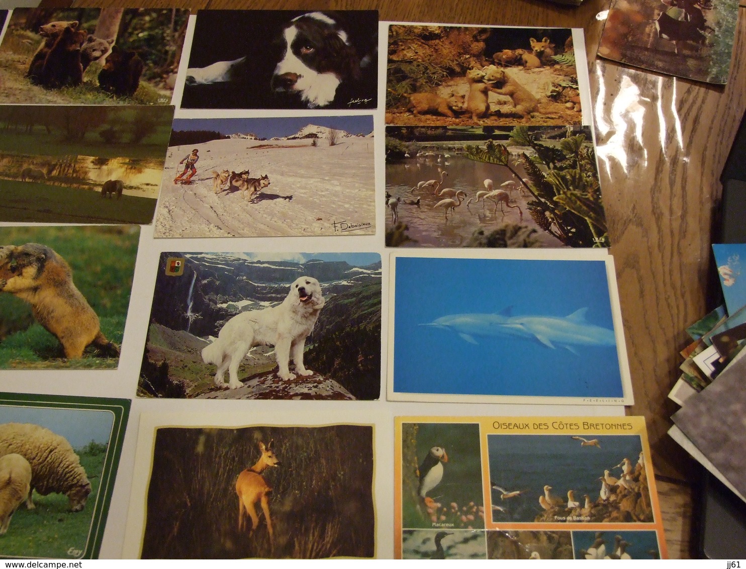 LOT D UNE COLLECTION DE 243 CARTES POSTALES ANCIENNES ET SEMI MODERNES THEMES ANIMAUX CHEVEAUX OISEAUX CHATS CHIENS