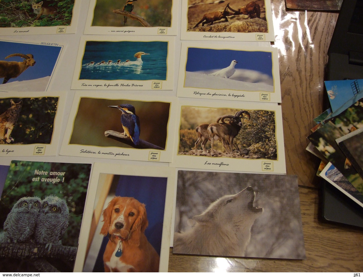 LOT D UNE COLLECTION DE 243 CARTES POSTALES ANCIENNES ET SEMI MODERNES THEMES ANIMAUX CHEVEAUX OISEAUX CHATS CHIENS