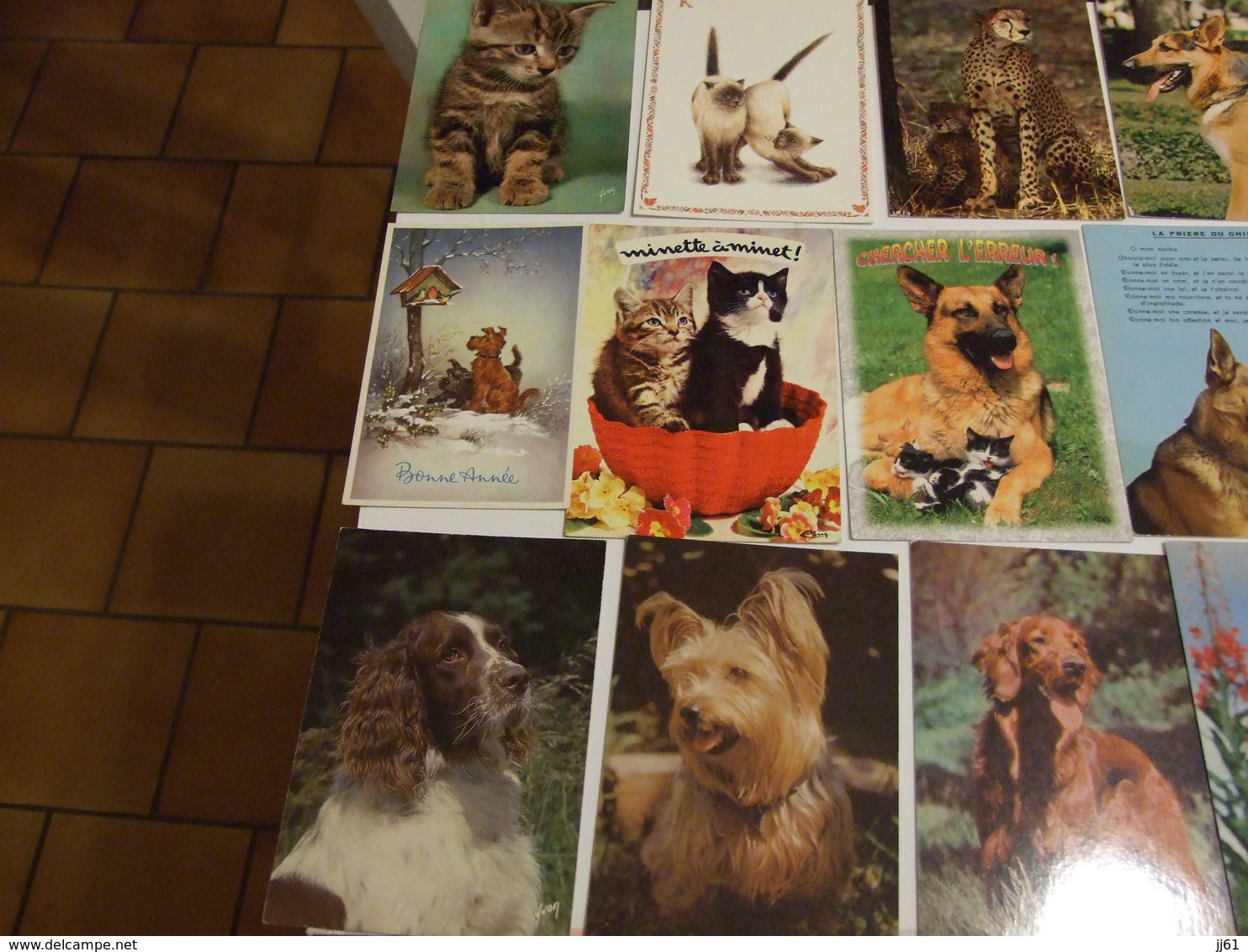 LOT D UNE COLLECTION DE 243 CARTES POSTALES ANCIENNES ET SEMI MODERNES THEMES ANIMAUX CHEVEAUX OISEAUX CHATS CHIENS