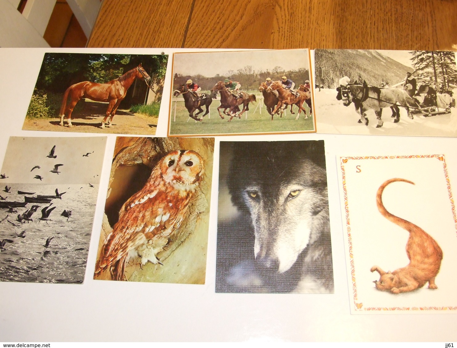 LOT D UNE COLLECTION DE 243 CARTES POSTALES ANCIENNES ET SEMI MODERNES THEMES ANIMAUX CHEVEAUX OISEAUX CHATS CHIENS