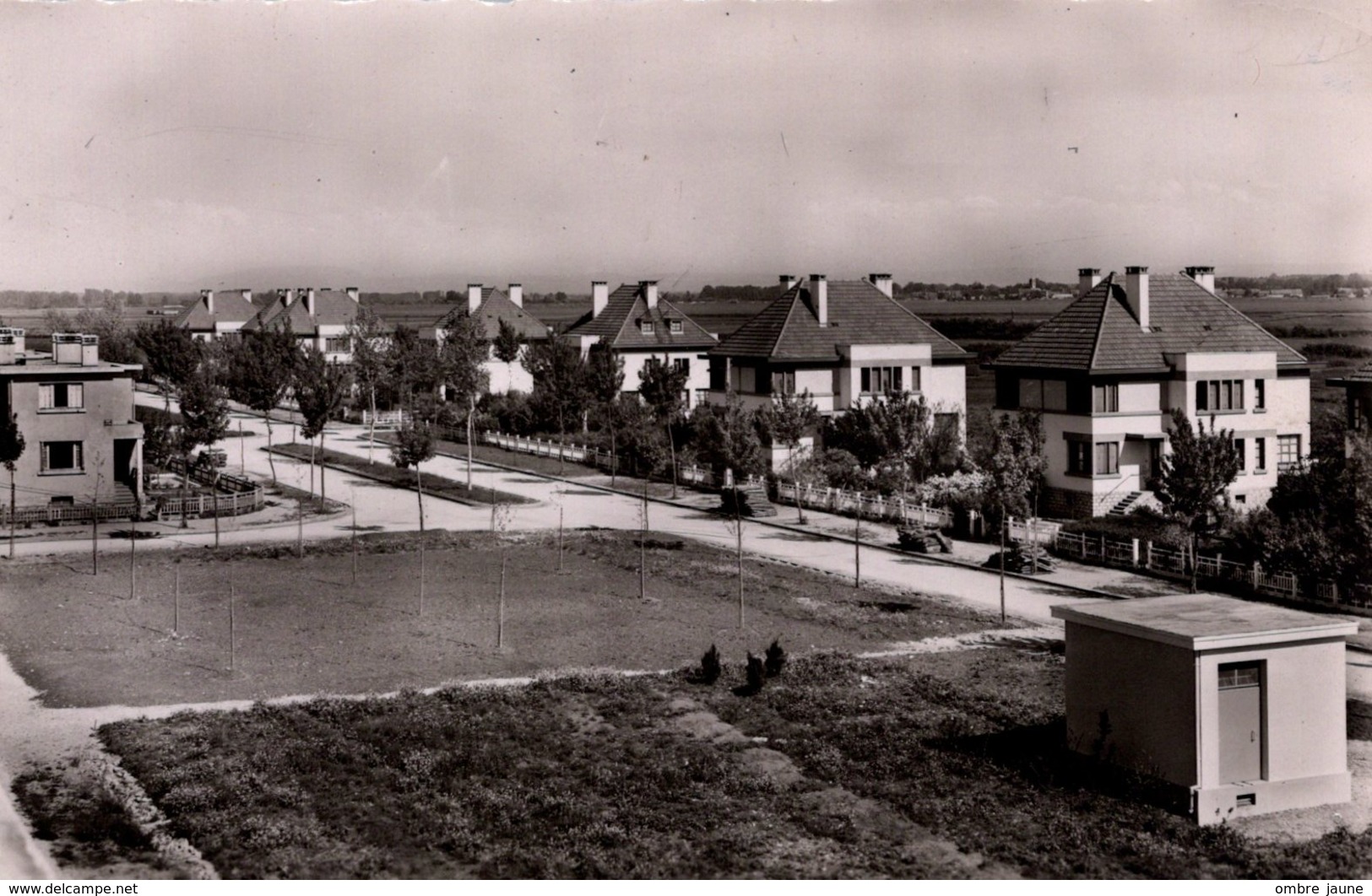 T6 - CPSM - JURA - Carte Photo - TAVAUX CITES - Un Coin Des Cités - Tavaux