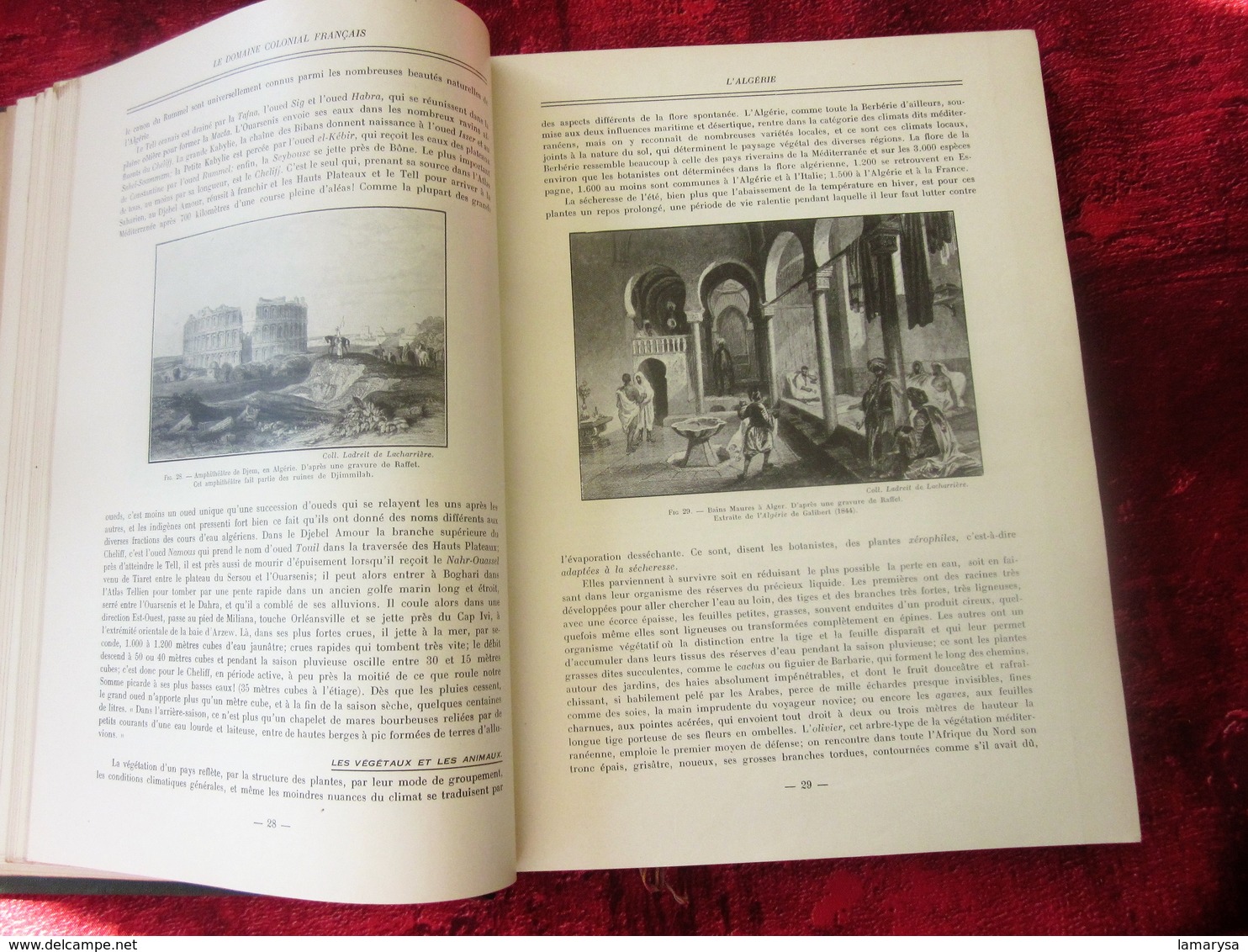 Le Domaine Colonial Français.Tome II-Colonies ALGÉRIE-TUNISIE-MAROC-AOF-AEF-HISTOIRE-INDUSTRIE-MŒURS-VIE-COUTUMES-BOZART