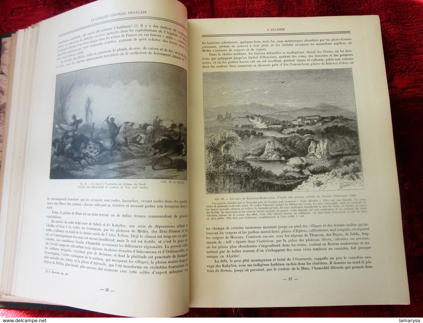 Le Domaine Colonial Français.Tome II-Colonies ALGÉRIE-TUNISIE-MAROC-AOF-AEF-HISTOIRE-INDUSTRIE-MŒURS-VIE-COUTUMES-BOZART