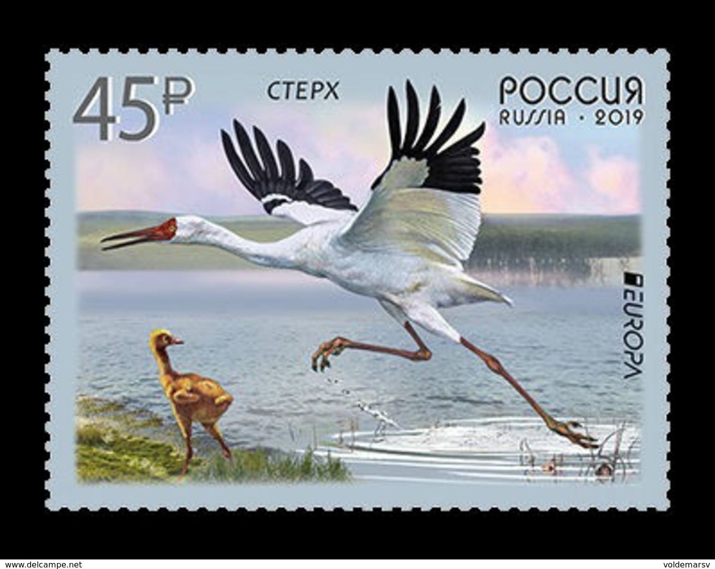 Russia 2019 Mih. 2654 Europa. Fauna. National Birds. Siberian Crane MNH ** - Neufs