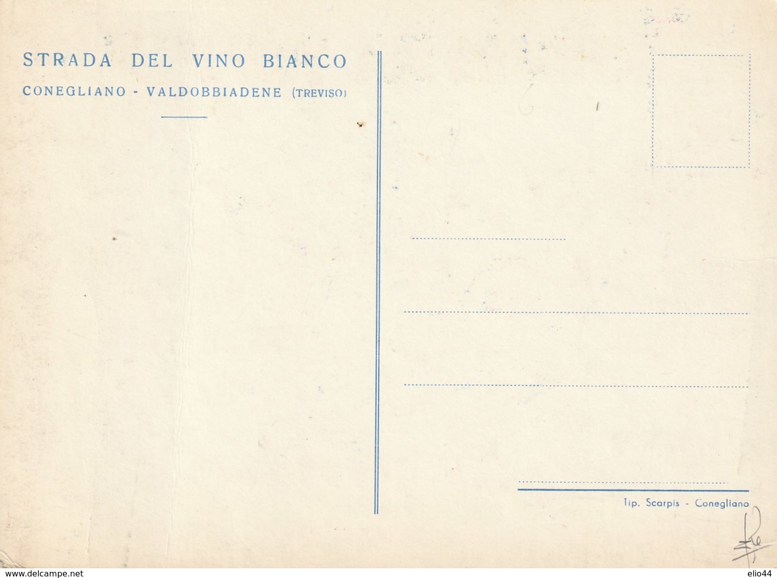 Agricoltura - Vigne - Conegliano-Valdobbiadene (TV)  - Strada Del Vino Bianco - - Wijnbouw