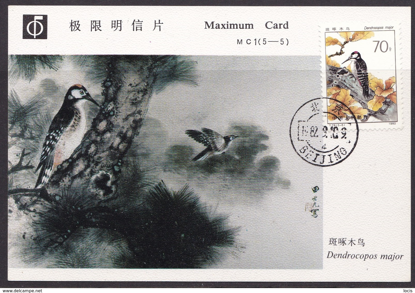 JAPAN 1982 - BIRDS - Tarjetas – Máxima
