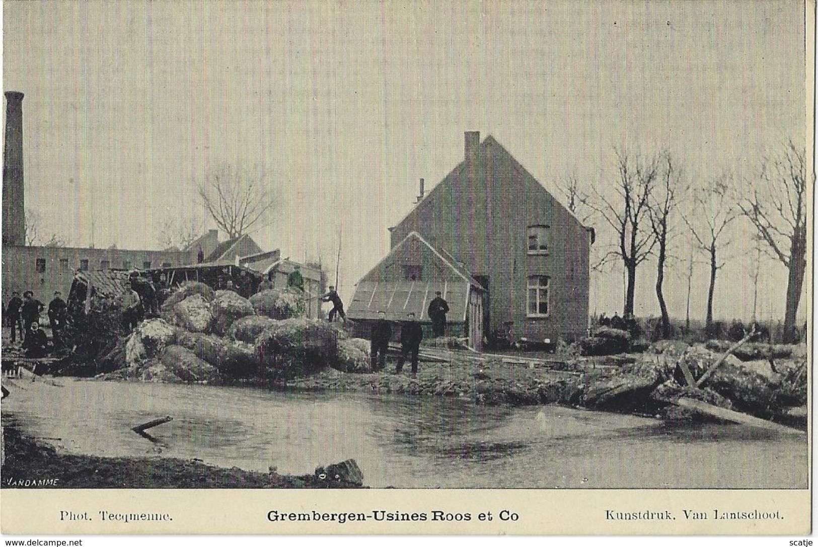 Grembergen-Usines Roos Et Co. - Hamme