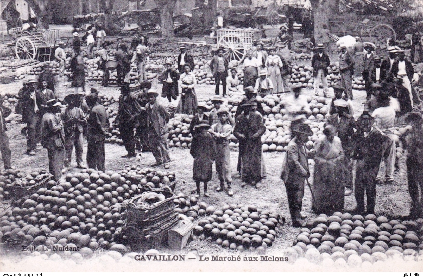 84 - Vaucluse - CAVAILLON - Le Marché Aux Melons - Cavaillon