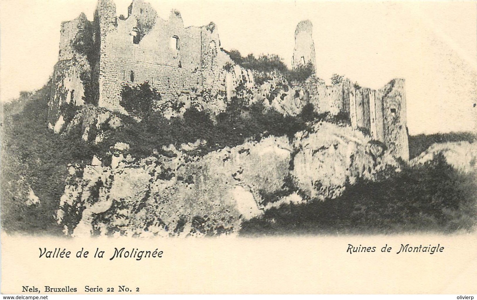 Belgique - Vallée De La Molignée - Ruines De Montaigle- Nels Série 22 N° 2 - Onhaye