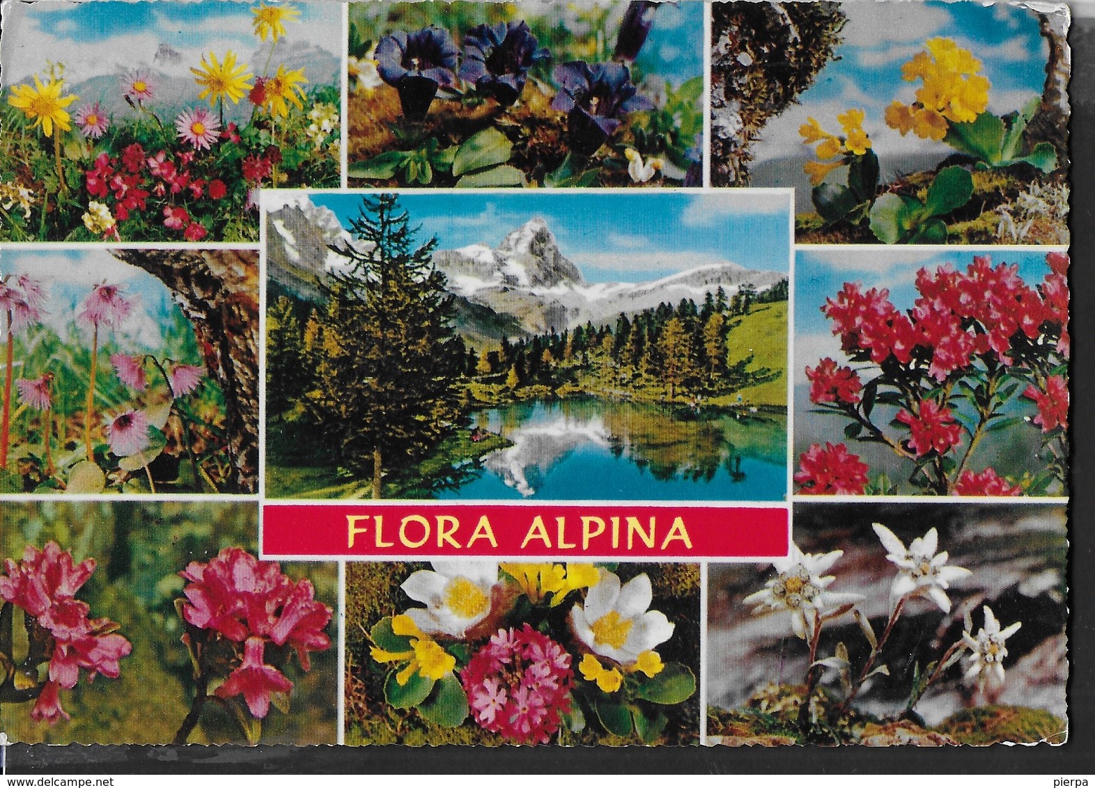 FLORA ALPINA - EDIZ. CECAMI #211 - VIAGGIATA NON TIMBRATA - Fiori