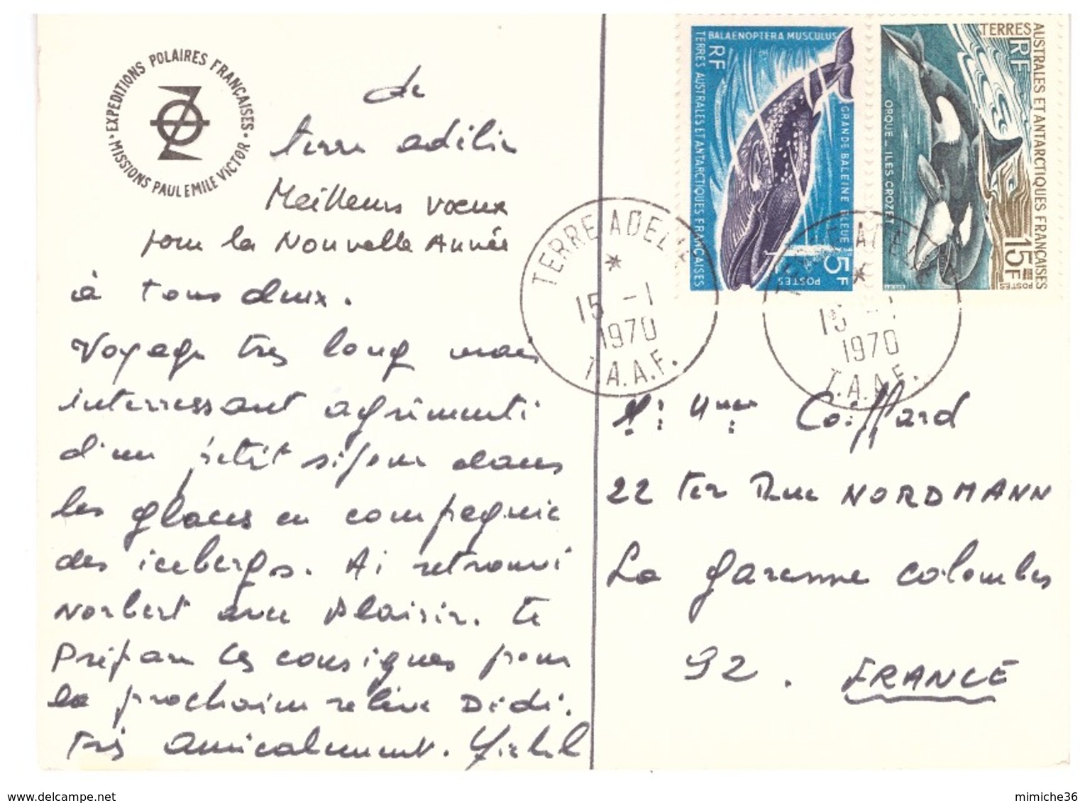 TAAF CARTE PEV 1979 - Lettres & Documents