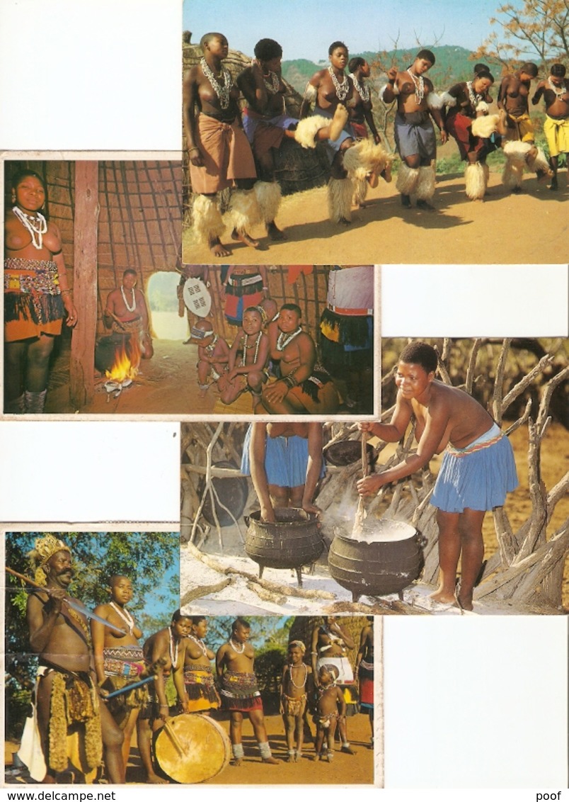 South Africa : Zulu / Zoulou / Zulu Maidens / Zulu Family / Nues / Natal : --- 8 Cards - Sud Africa