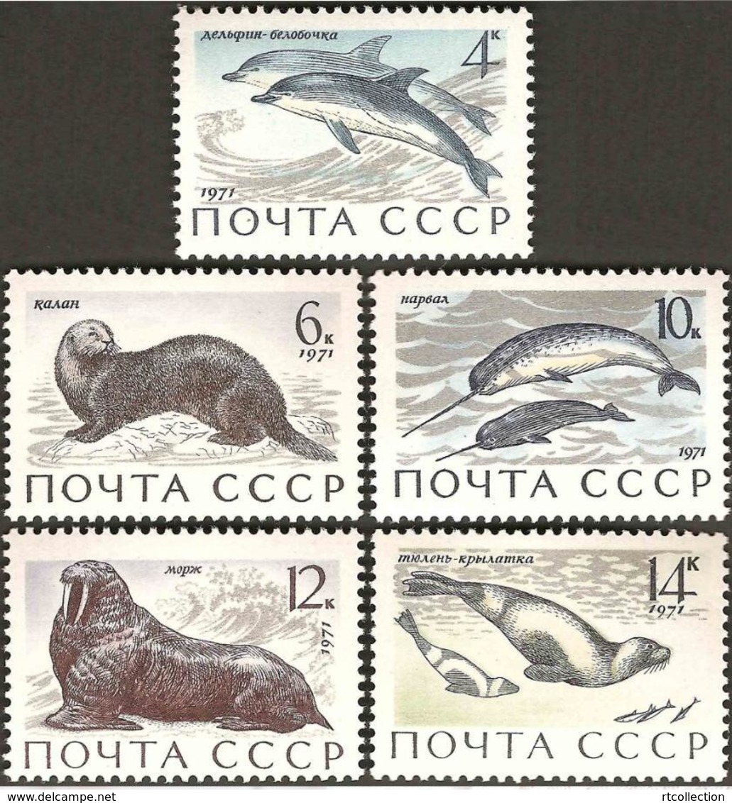 USSR Russia 1971 Animals Fauna Sea Marine Mammals Dolphins Otter Narwhals Walrus Ribbon Seals Stamps MNH Mi 3913-3917 - Dolphins