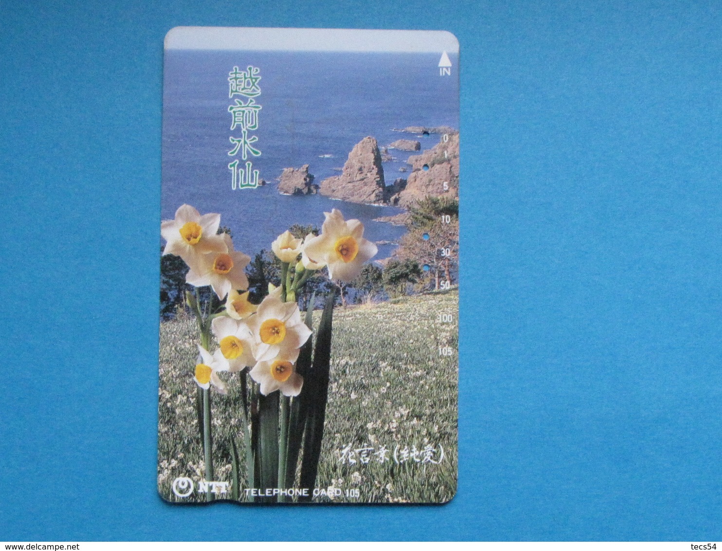 JAPAN PHONECARD NTT 311-084 LANDSCAPE WITH FLOWERS - Giappone