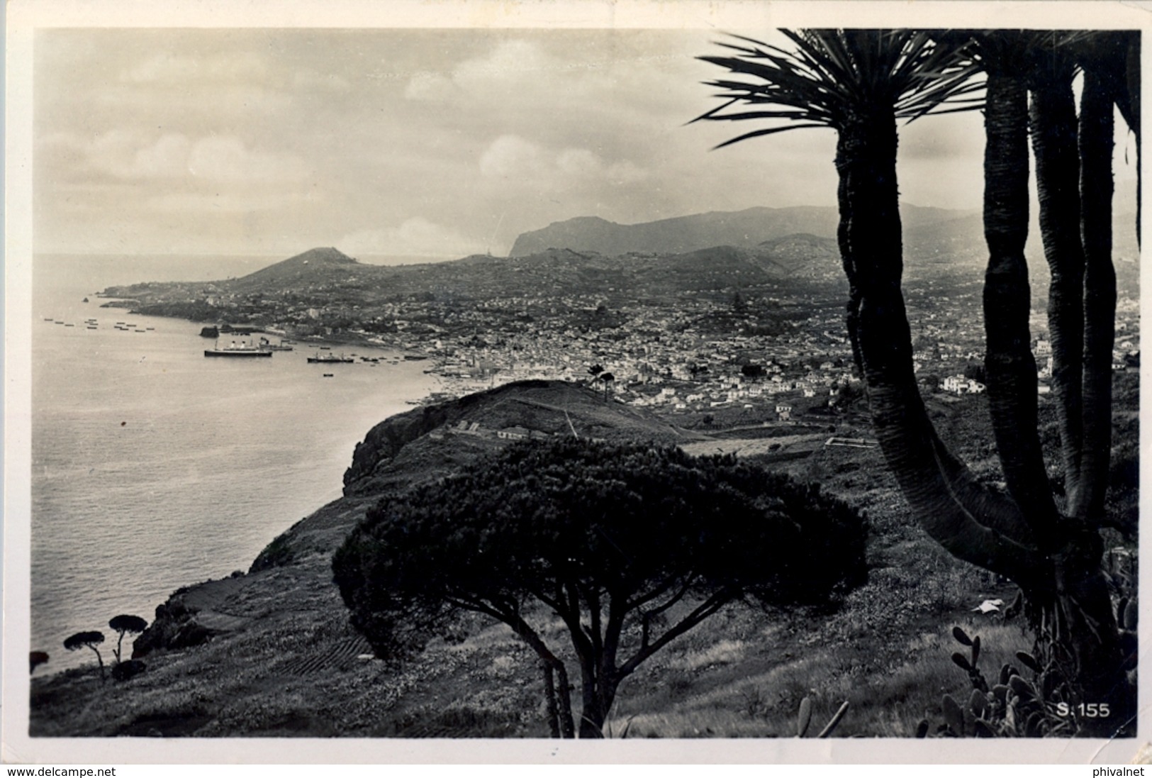 1937 PORTUGAL , FUNCHAL - HAMBURGO , TARJETA POSTAL CIRCULADA , VIEW OF FUNCHAL / MADEIRA - Funchal