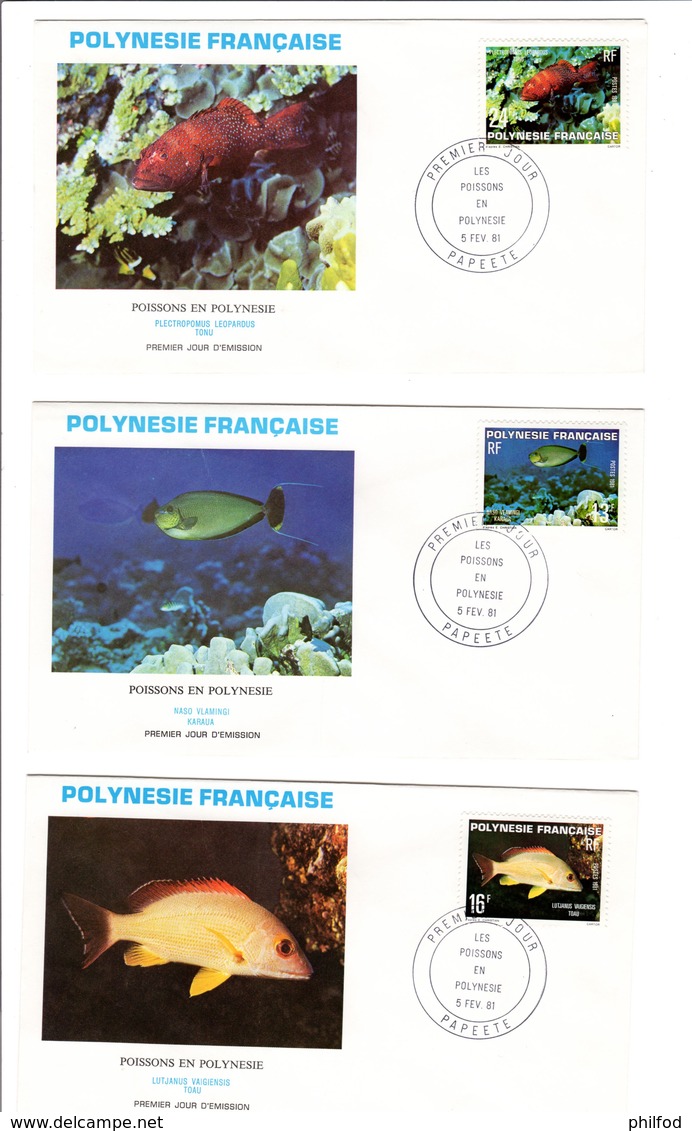 FDC POLYNESIE FRANCAISE  - 5 Fev. 81 - N ° 160 / 162 POISSON EN POLYNESIE - FDC