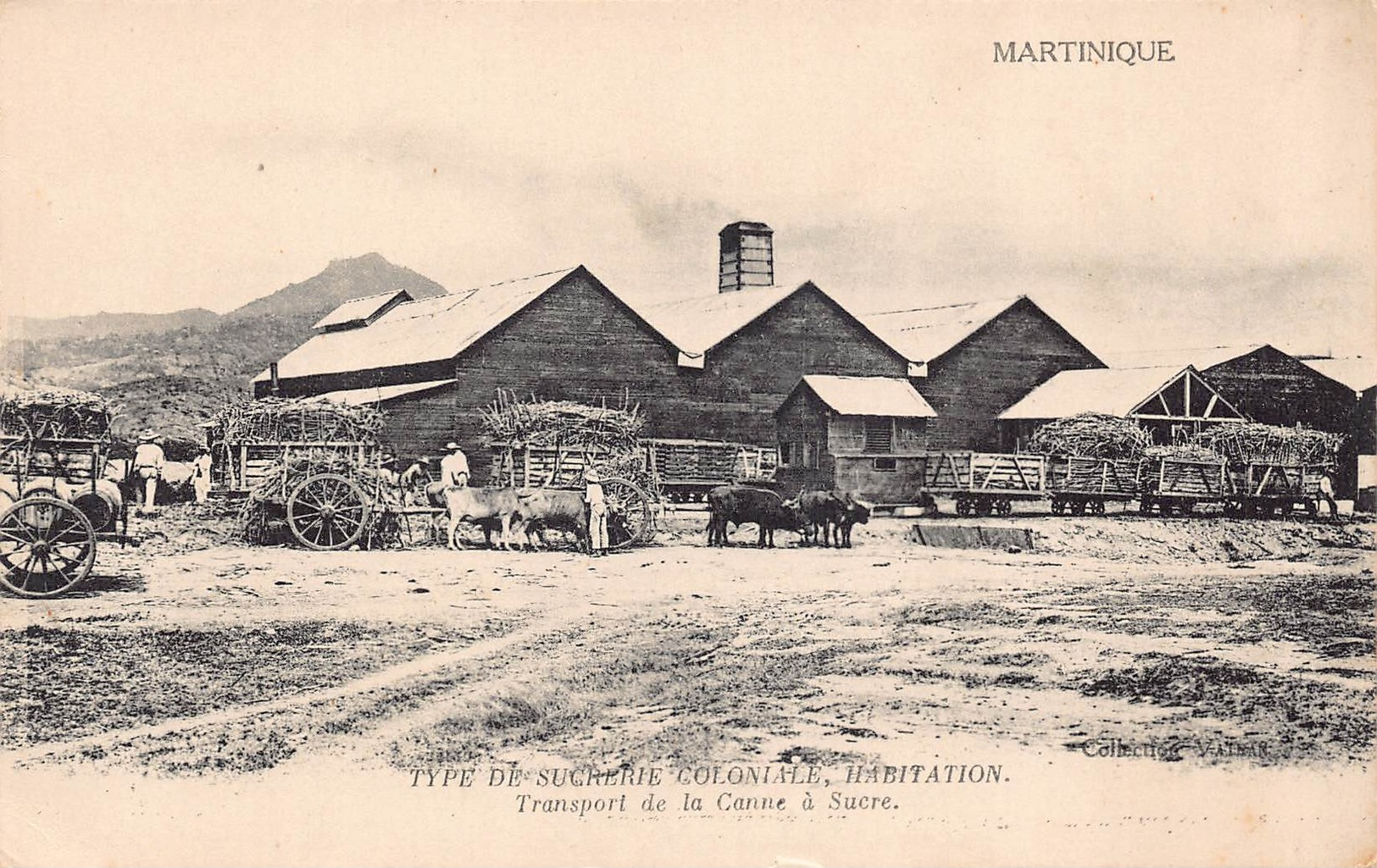 MARTINIQUE - Type De Sucrerie Coloniale  , Habitation - Transport De La Canne A Sucre - Autres & Non Classés