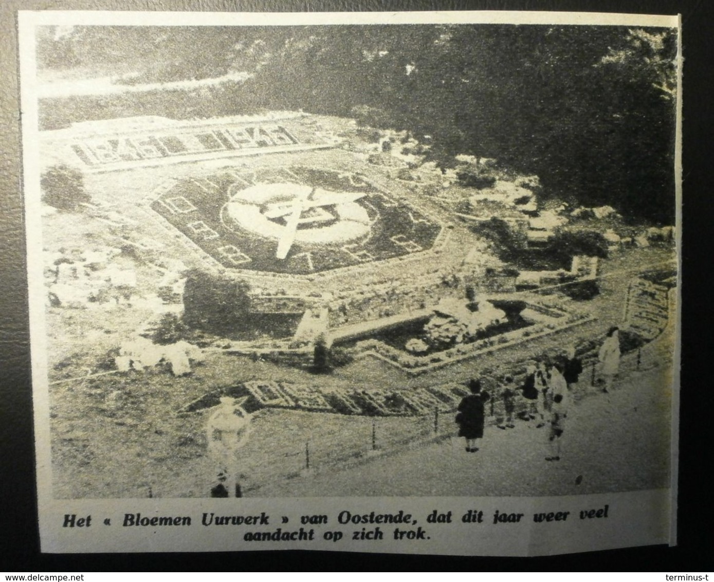 OOSTENDE Bloemen Uurwerk 1946 - Documenti Storici