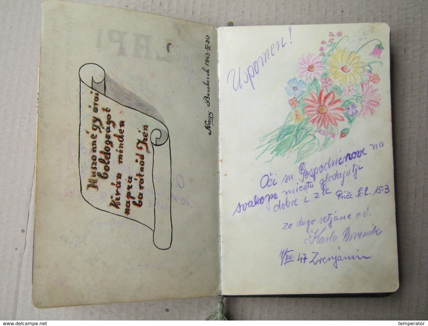 Scrapbook, Spomenar - Zrenjanin, Török Becse, Rovinj - Wonderful drawings, 1943/54.