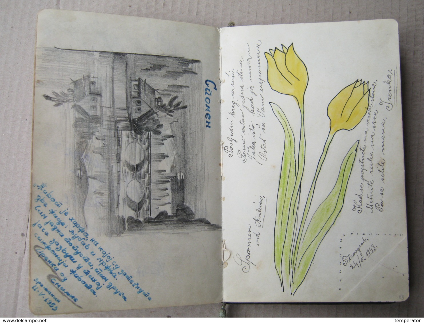 Scrapbook, Spomenar - Zrenjanin, Török Becse, Rovinj - Wonderful drawings, 1943/54.