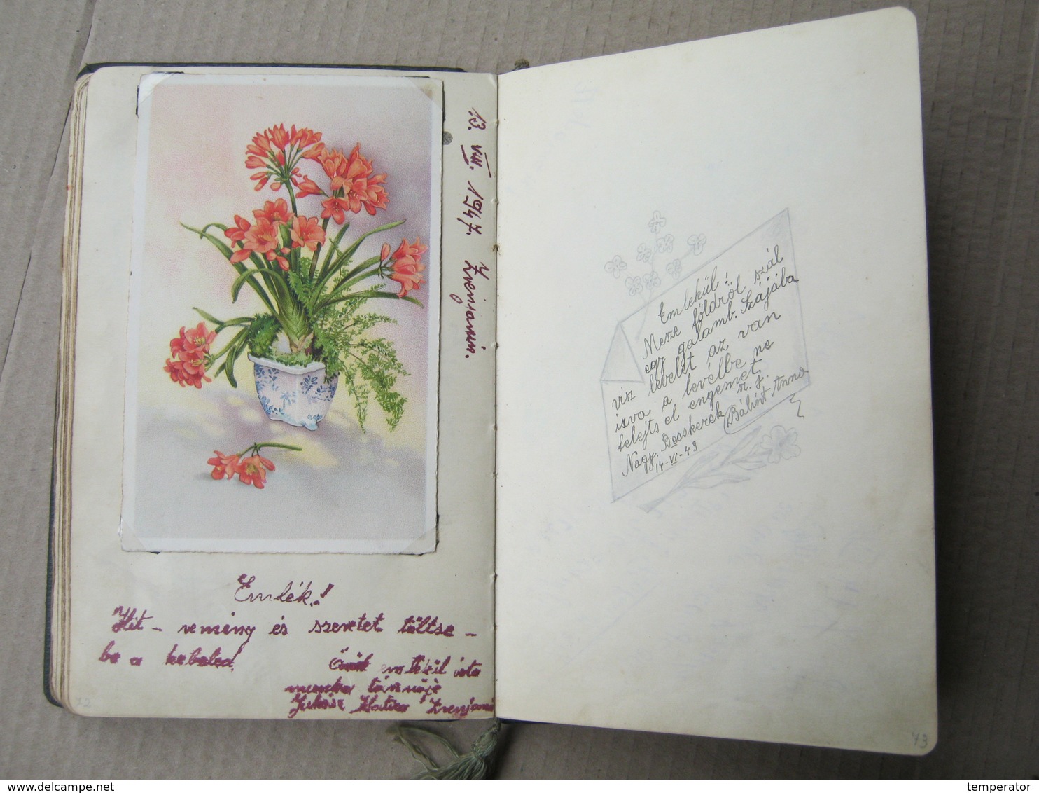 Scrapbook, Spomenar - Zrenjanin, Török Becse, Rovinj - Wonderful drawings, 1943/54.