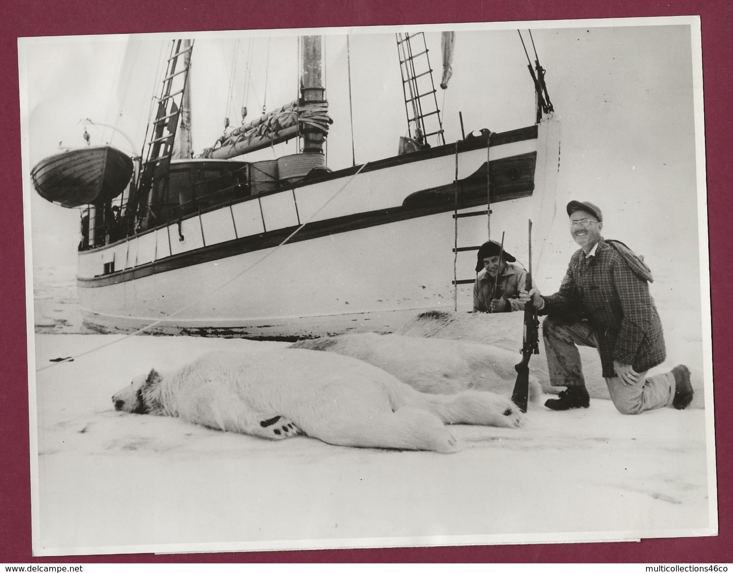 020220A - PHOTO DE PRESSE 1959 - CHASSE OURS BLANC Oslo Norway Arctic Safari Expedition Ship Havella Of Tromsö - Sport