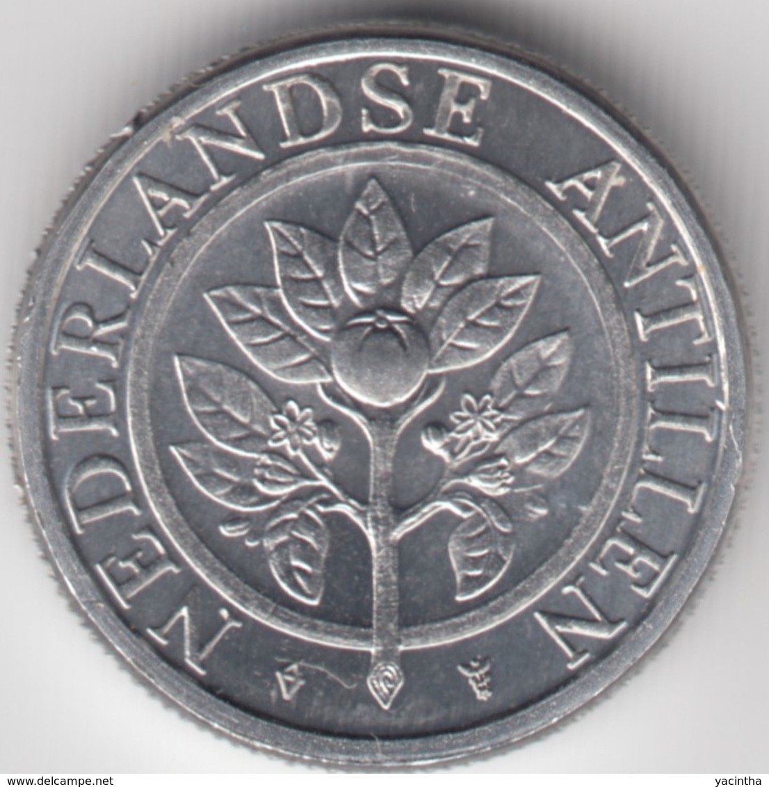 @Y@    Nederlandse Antillen   5  Cent  1989 ( 4667 ) - Antilles Néerlandaises