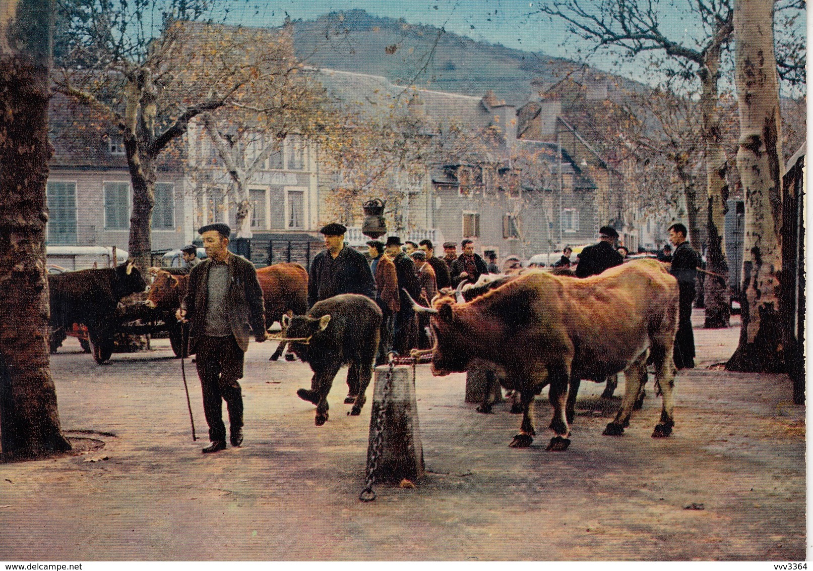 SAINT-GENIEZ D'OLT: Sur Le Foirail (foire Aux Bovins) - Altri & Non Classificati