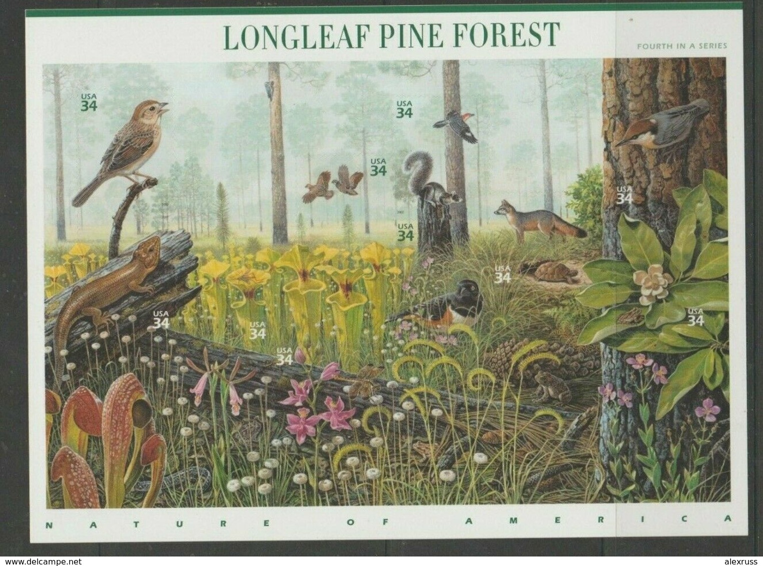 US 2002 Sheet # 3611 "Longleaf Pine Forest" 34c, 4th In A Series VF MNH**,(US-16) - Fogli Completi