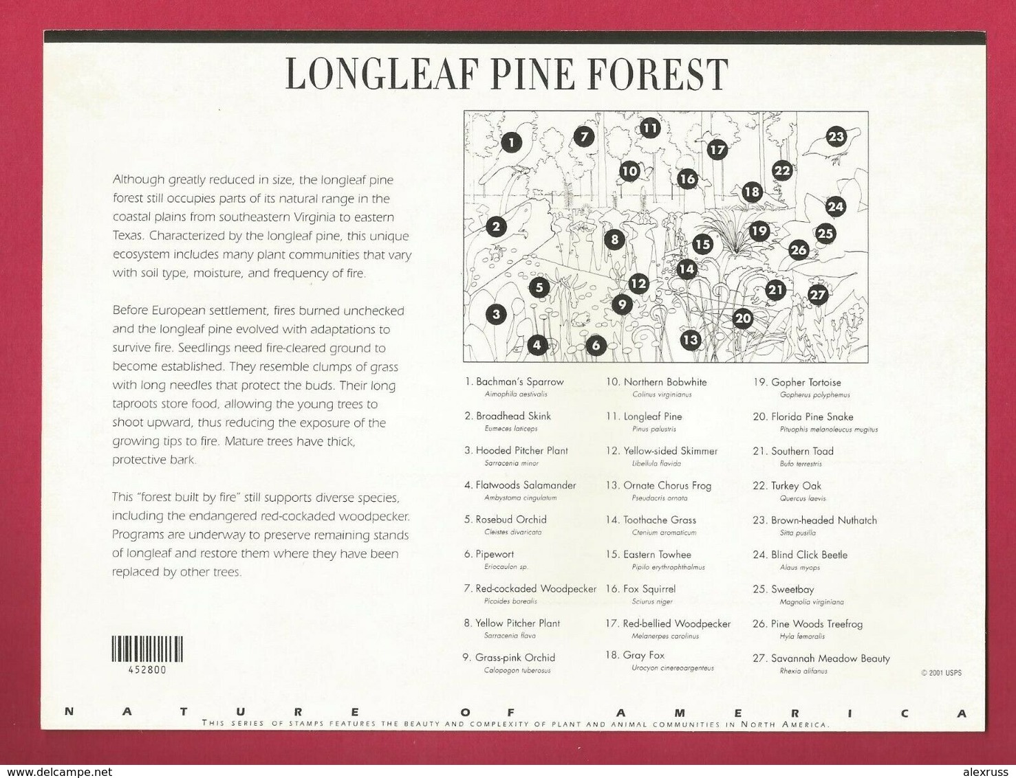 US 2002 Sheet # 3611 "Longleaf Pine Forest" 34c, 4th In A Series VF MNH**,(US-16) - Volledige Vellen