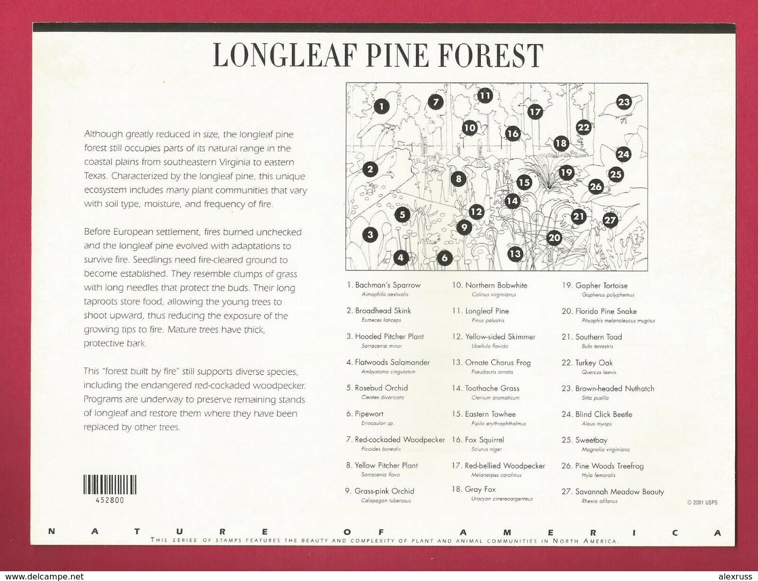 US 2002 Sheet # 3611 "Longleaf Pine Forest" 34c, 4th In A Series VF MNH**,(US-16) - Ganze Bögen