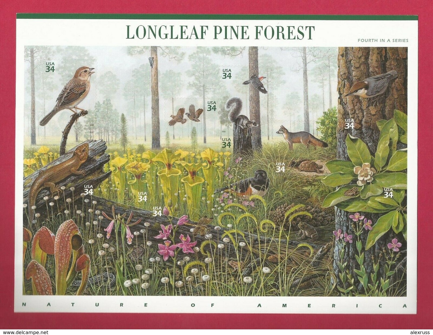 US 2002 Sheet # 3611 "Longleaf Pine Forest" 34c, 4th In A Series VF MNH**,(US-16) - Sheets