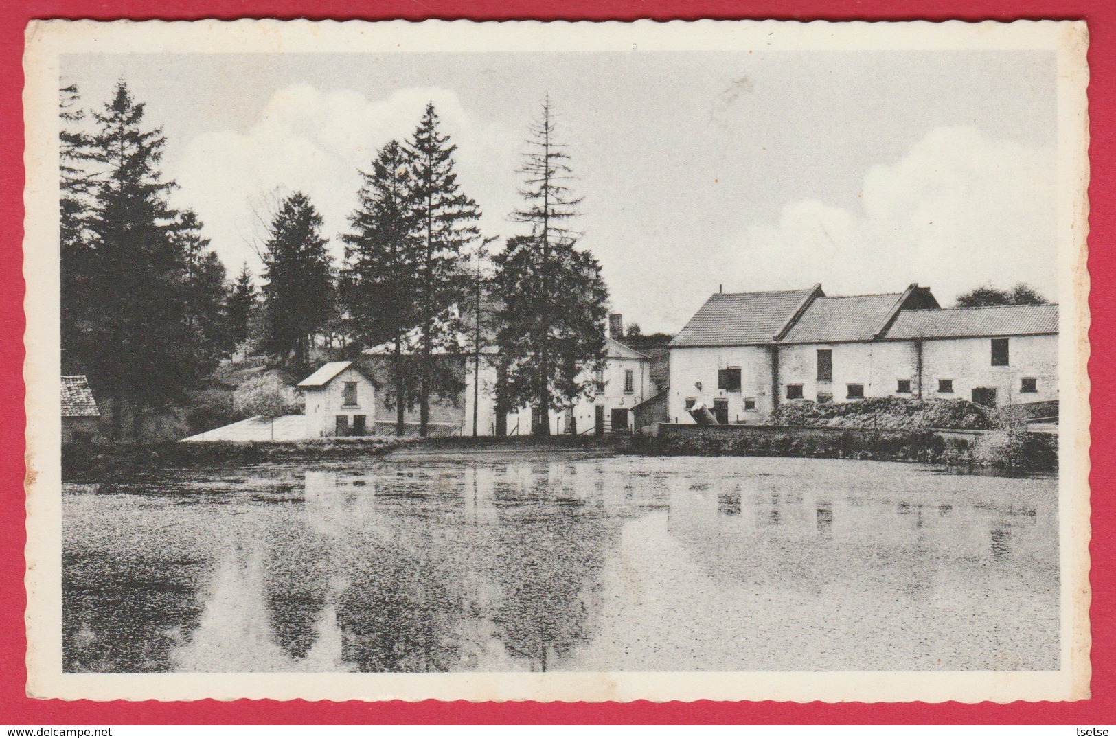 Nalinnes - Le Moulin ( Voir Verso ) - Ham-sur-Heure-Nalinnes