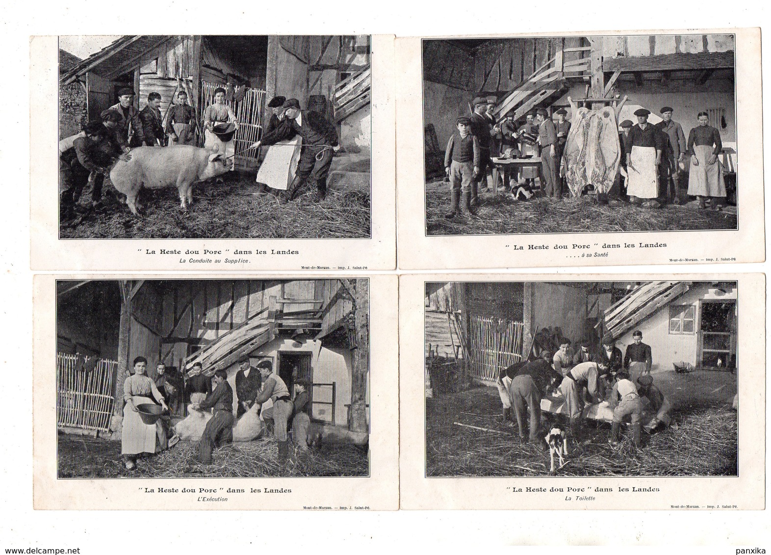 Landes. "La Heste Dou Porc". Lot De 4 Cartes.1906. - Autres & Non Classés