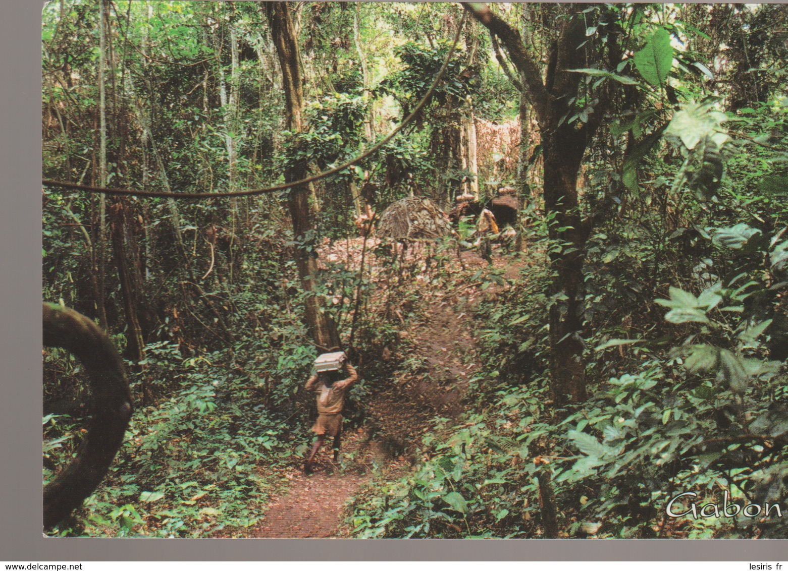 C. P. - PHOTO - GABON TRADITIONNEL - L'ENTREE D'UN CAMPEMENT PYGMEE - A 771 M - ENFIN NOUS APPROCHIONS DU CAMP PYGMEE TA - Gabon